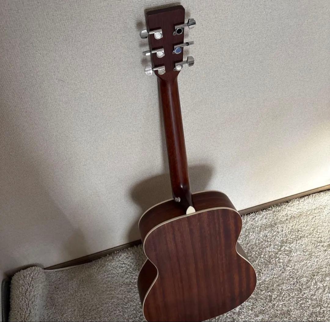 【きゃの】Stafford エレアコ