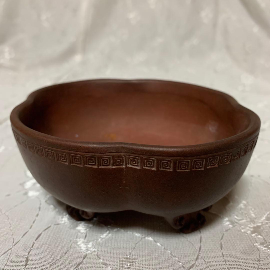 中国鉢　もっこ　盆栽鉢