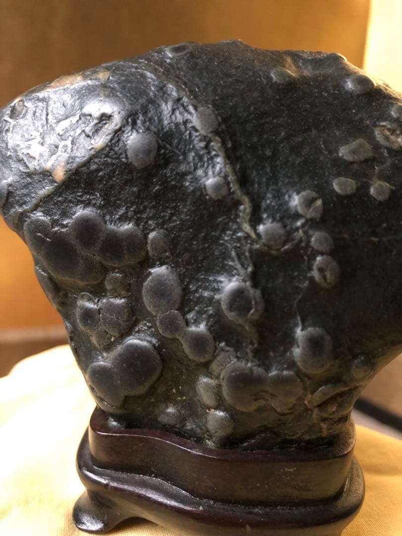 梅花石　木箱入　鑑賞石