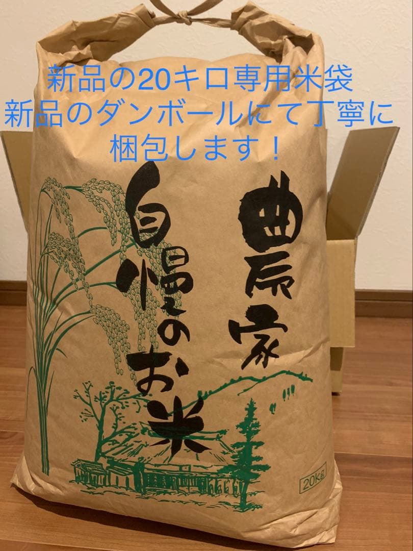 精米済み20キロ【農家直送！】新潟県産こしいぶき　特別栽培米　7年産　低温冷蔵