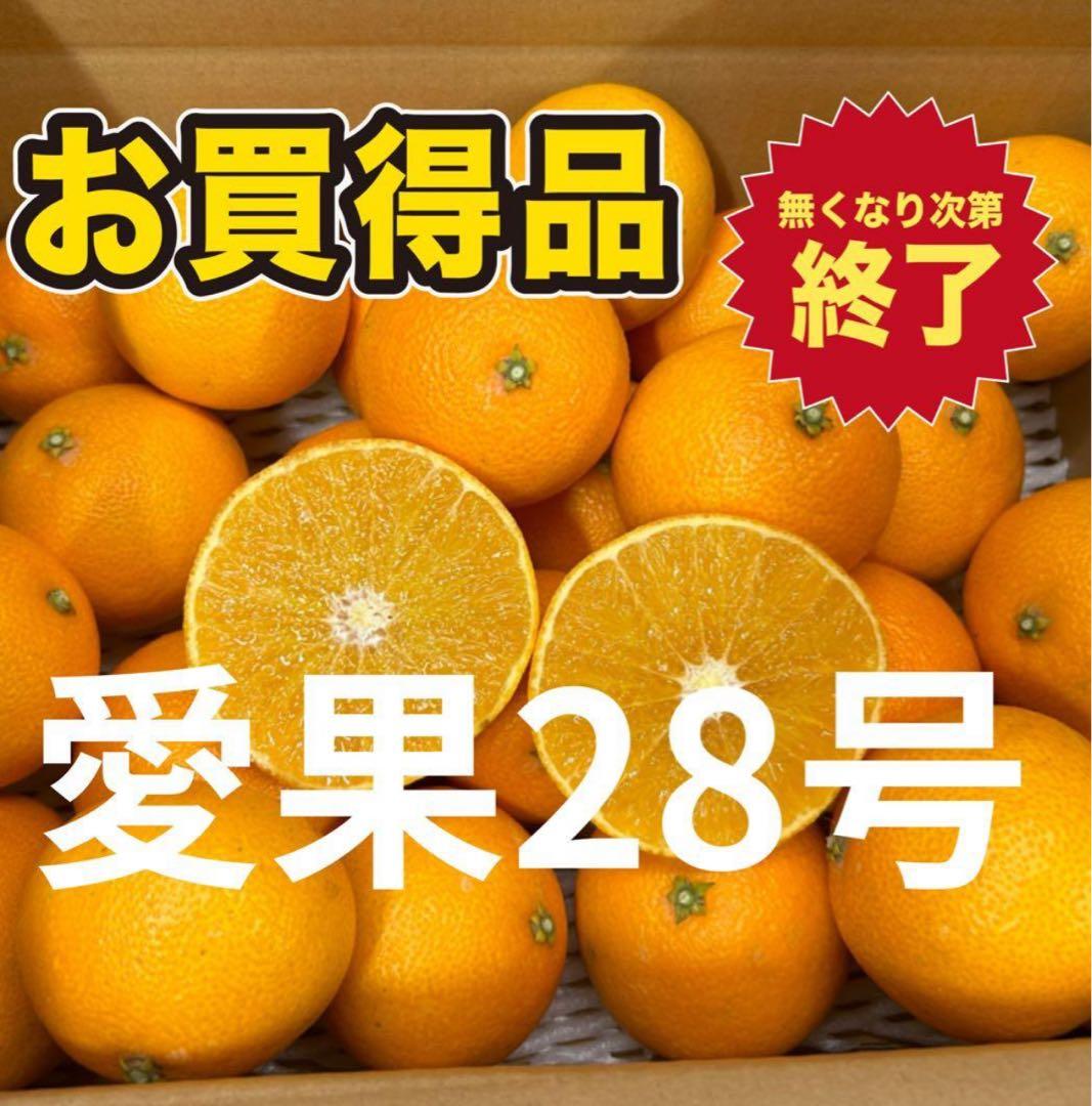 愛媛県産　愛果28号まどんな　5キロ 小玉　×2箱農家直送　旬の柑橘　高級柑橘