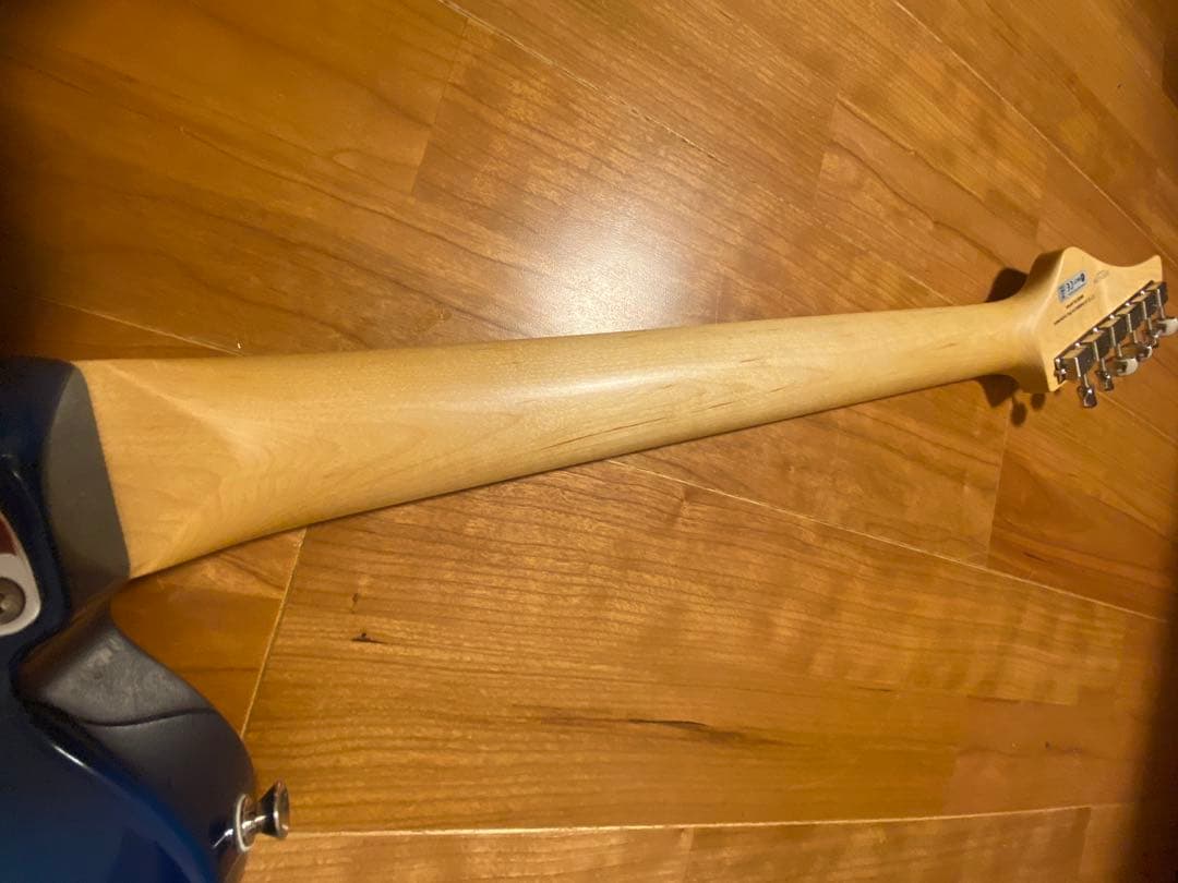 ギター FGN Boundary ILIAD