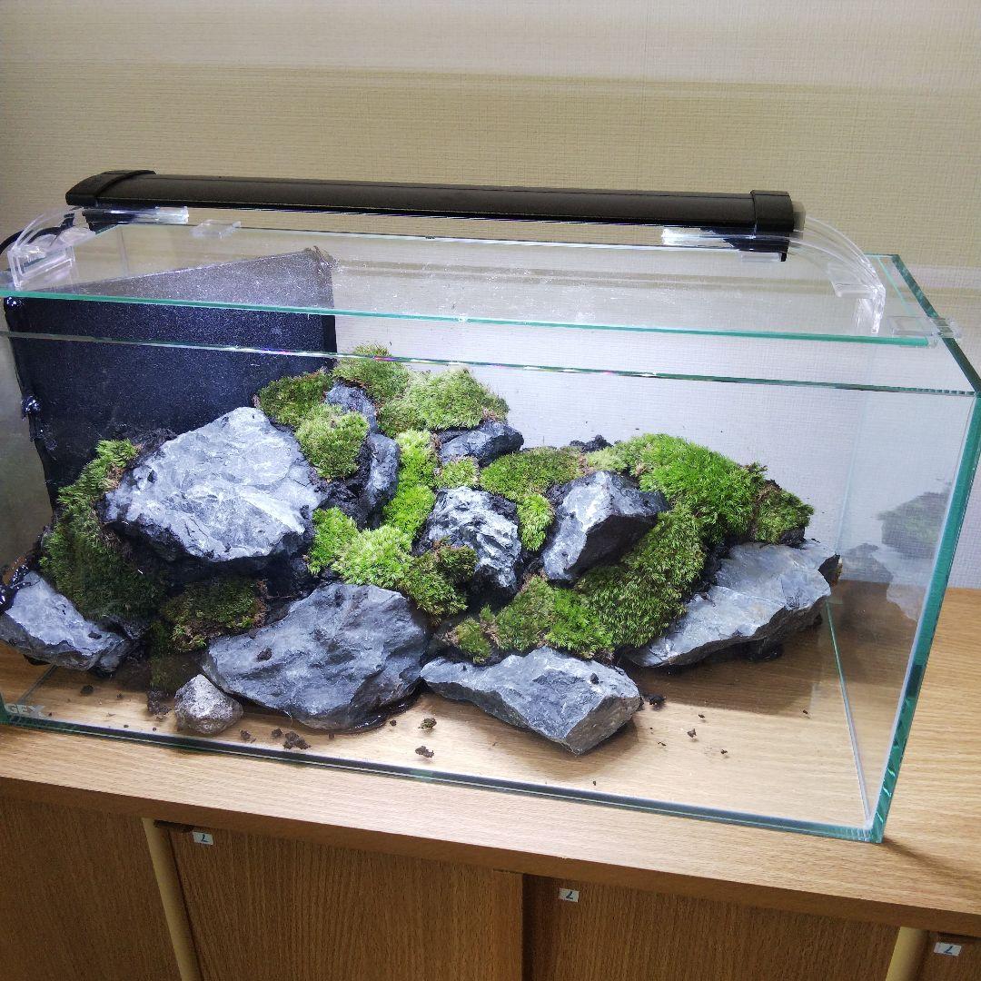 【完成品】アクアリウム　アクアテラリウム