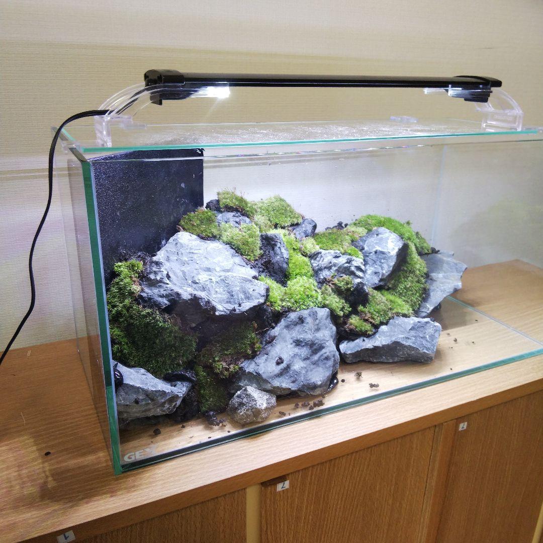 【完成品】アクアリウム　アクアテラリウム