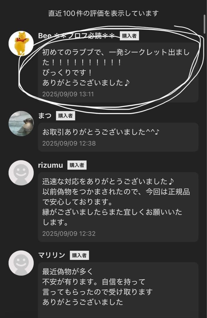 【正規品・未開封】Labubu Big into Energy 1箱