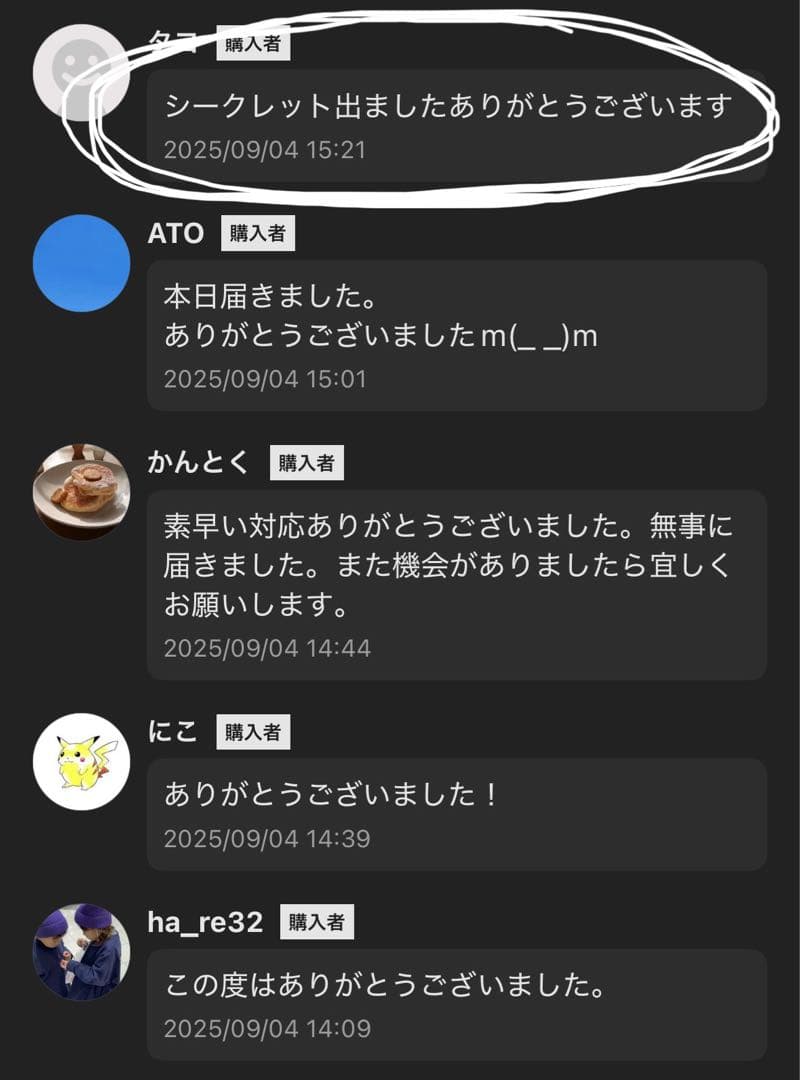 【正規品・未開封】Labubu Big into Energy 1箱