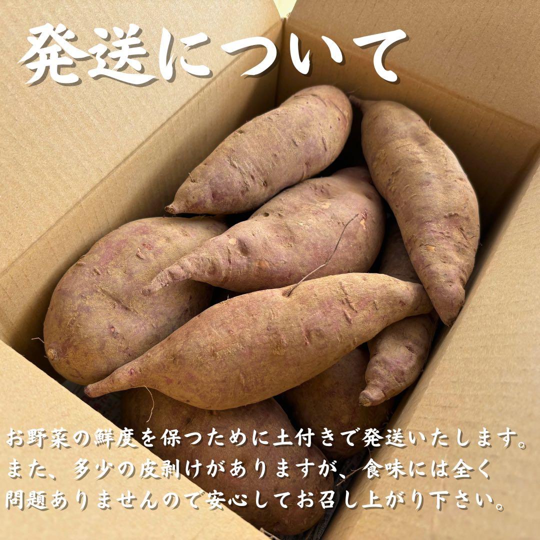 さつまいも『紅はるか』20kg ★無肥料・無農薬★