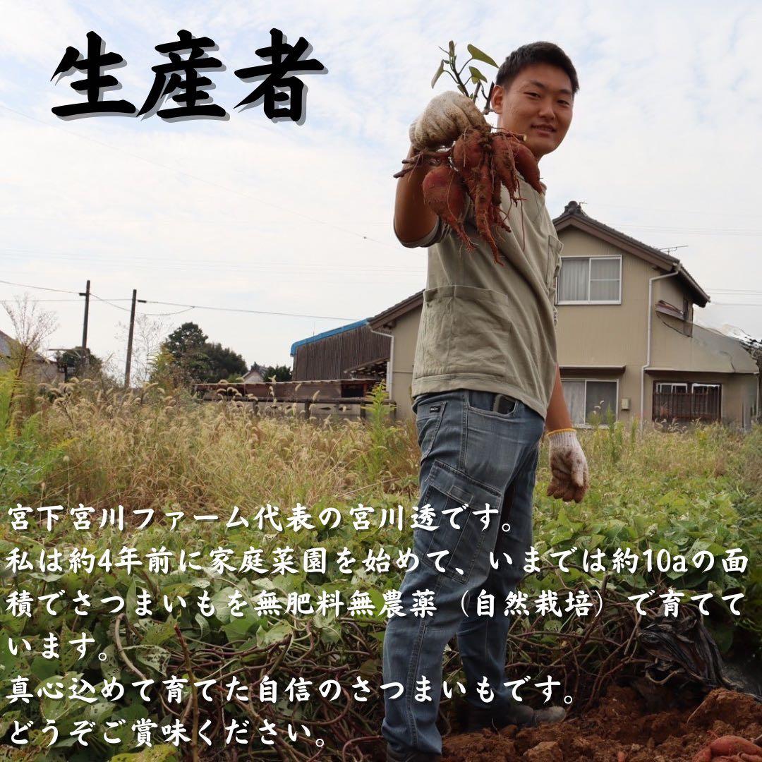 さつまいも『紅はるか』20kg ★無肥料・無農薬★