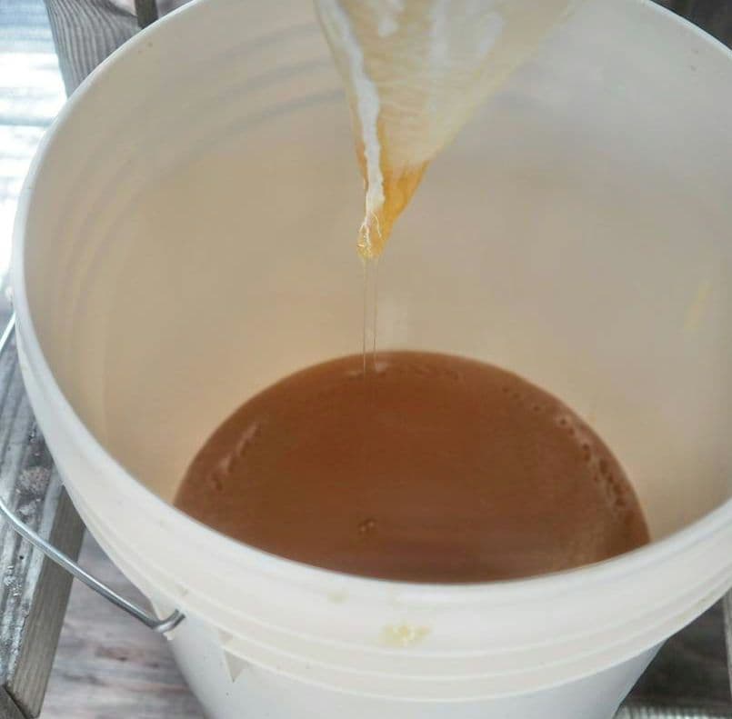 日本蜜蜂完熟ハチミツ（秋蜜、600g✕2瓶）