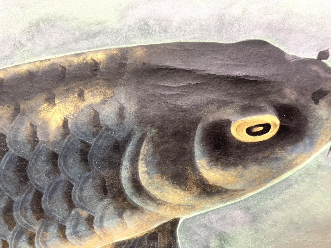 富取風堂／文部大臣賞受賞 松本楓湖師事「鯉」掛軸 紙本 金泥