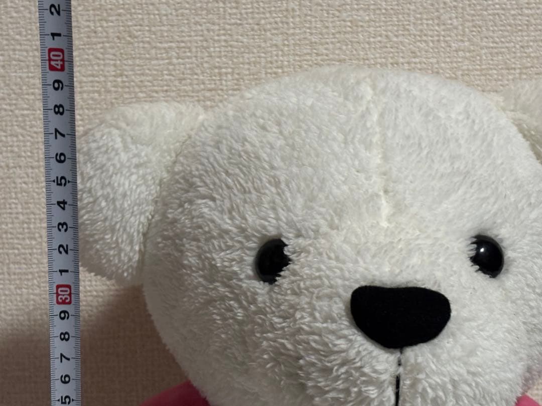 けぶぷぅ 大 ホワイト 激レア K-BREAK ケイブレイク くま