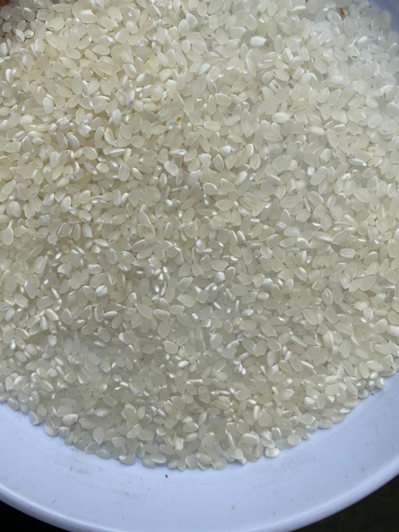 丹波産　コシヒカリ　中米 20キロ