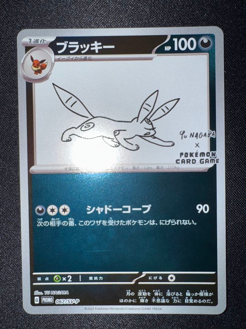 【美品】長場 イーブイ コンプ まとめ売り