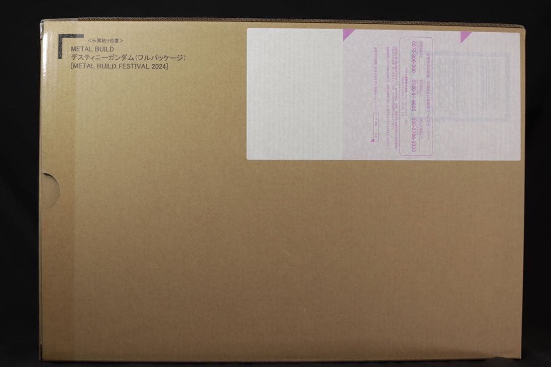 L BUILD ストライクフリーダムガンダム＆デスティニーガンダム