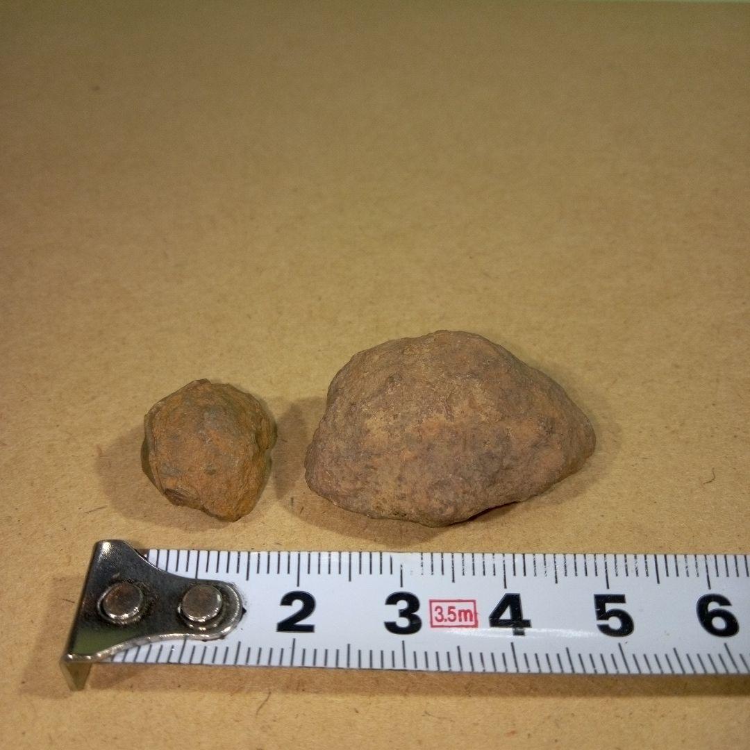 三葉虫　化石　fossil　ボリビア産　レア　Fossil判別②