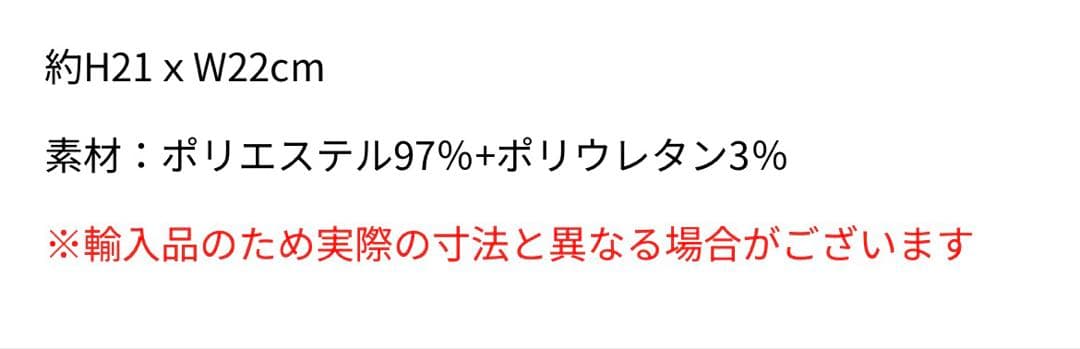 LadyGaga 2026 The MAYHEM 黒×白 ビーニー