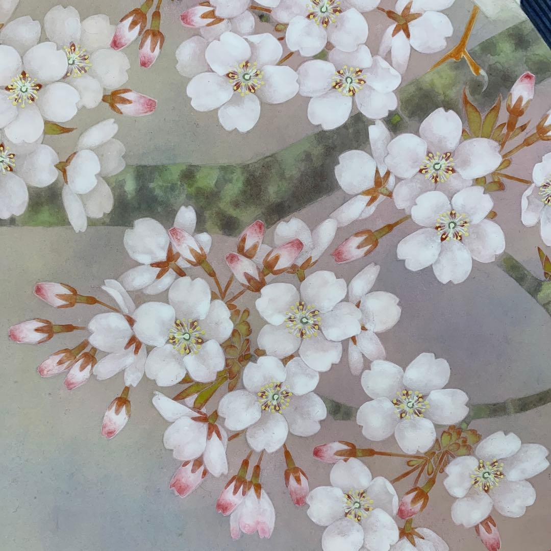 美品 掛け軸 市原秀人作「春囀」桜花鳥 共箱 太巻き付 縁起物 美術年鑑掲載