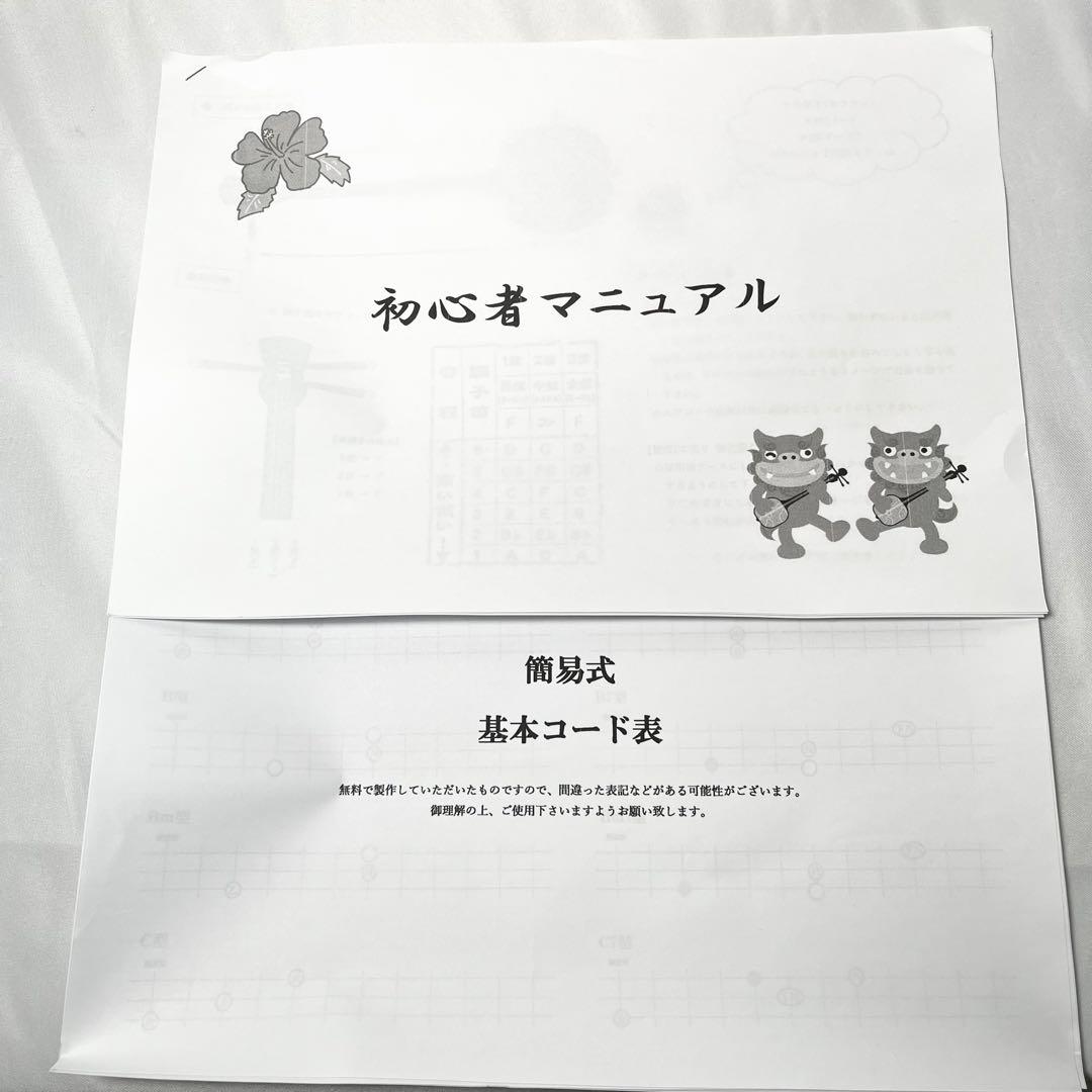 【美品】沖縄三線 人工皮 民謡楽器 民謡 和楽器 三線 付属品有