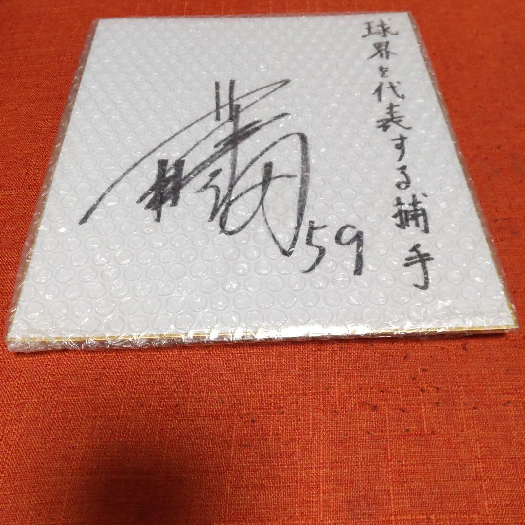 阪神タイガース  藤田健斗捕手  直筆サイン色紙