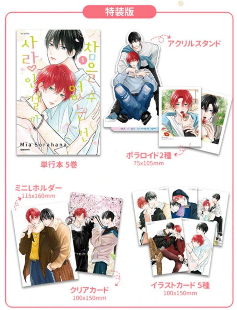 たまらないのは恋なのか　佐々木と宮野　世界一初恋　リキューレ小冊子