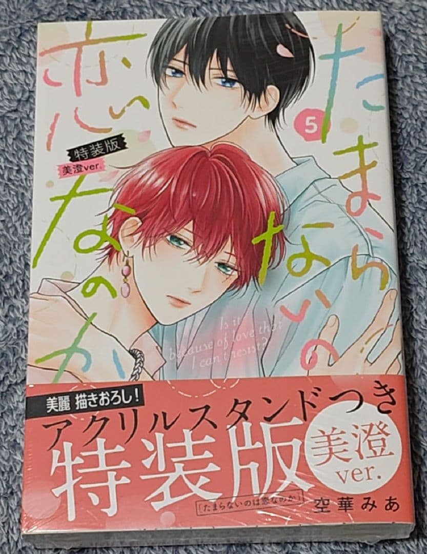 たまらないのは恋なのか　佐々木と宮野　世界一初恋　リキューレ小冊子