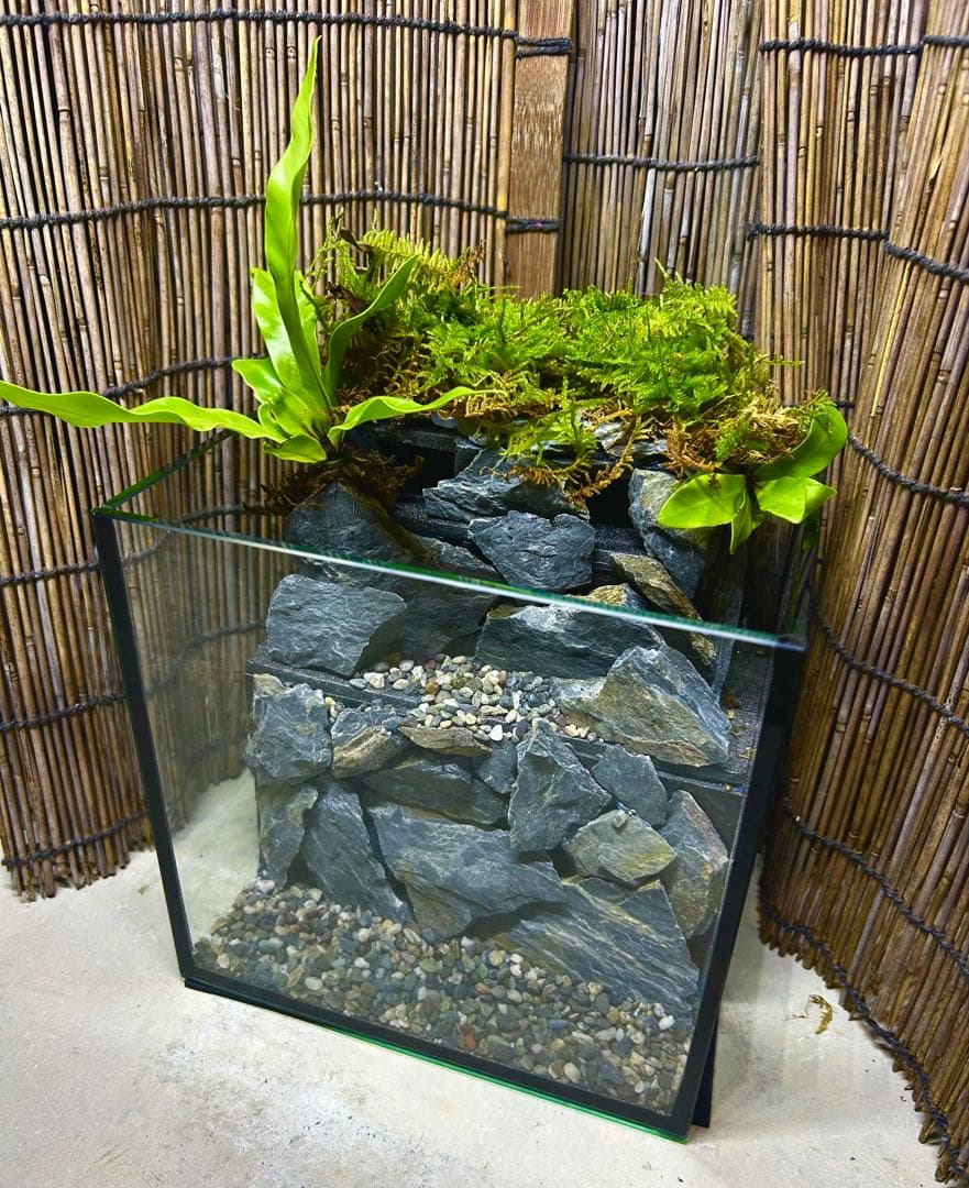 水の流れる滝テラリウム水槽　オールガラス20センチ