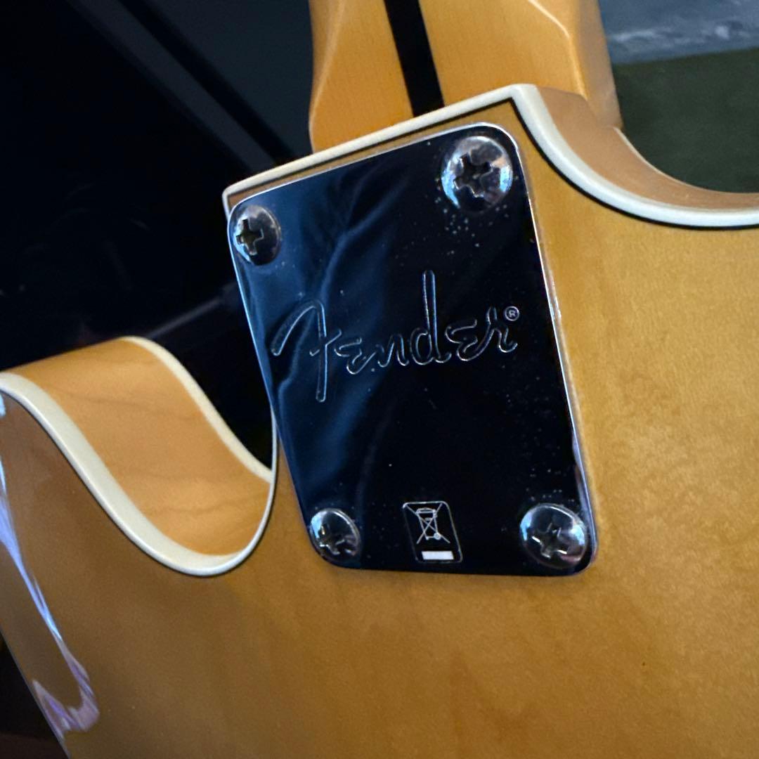 Fender Starcaster レアモデル/復刻版