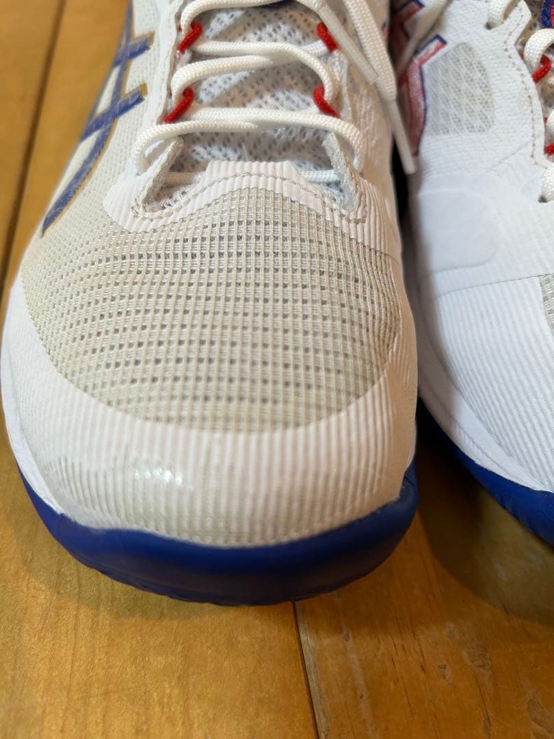 NETBURNER BALLISTIC FF 4 バレーボールシューズ　28.0