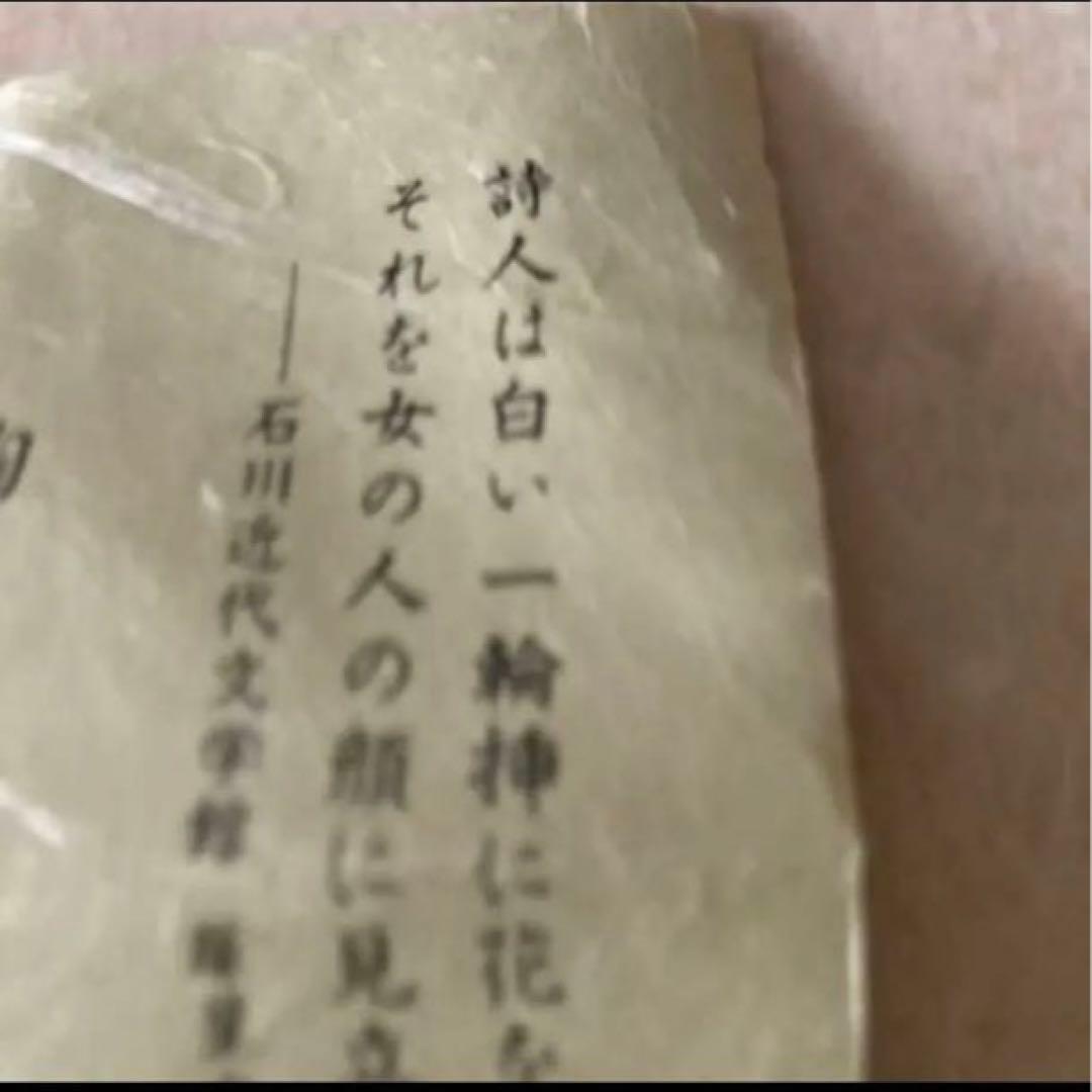 ◎九谷雅彩笹文　ぐい呑　谷敷正人 盃 酒器