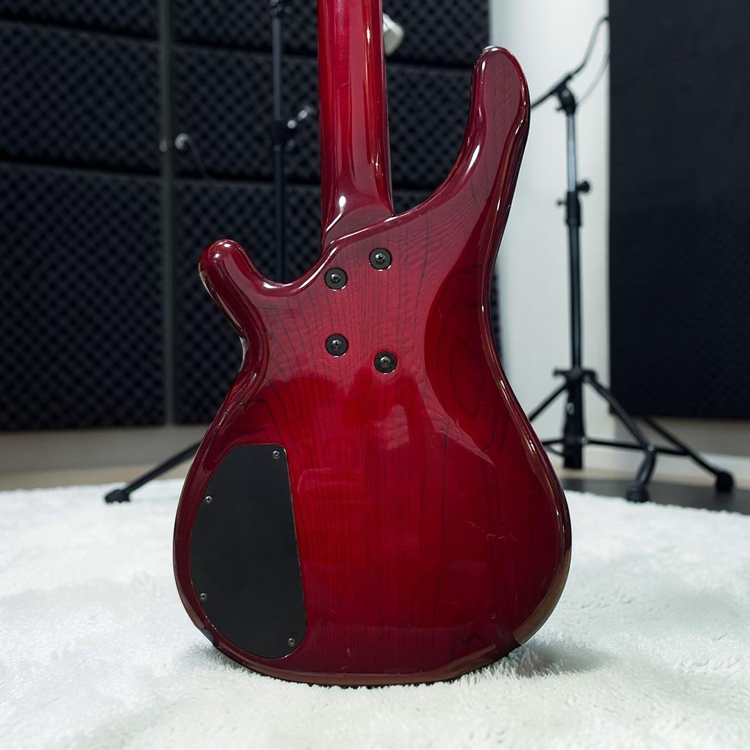 【国産ハイエンド】TUNE BASS MANIAC TB-standard AS