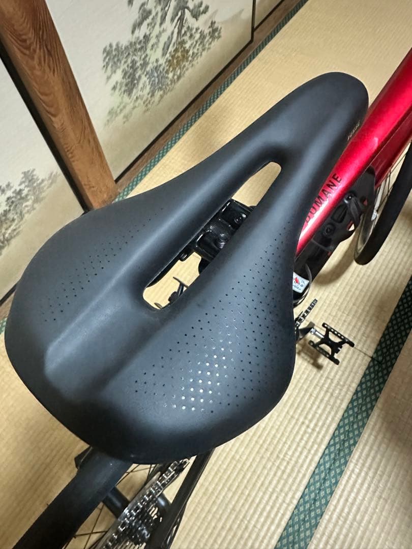 自転車本体 TREK Domane AL2 GEN4