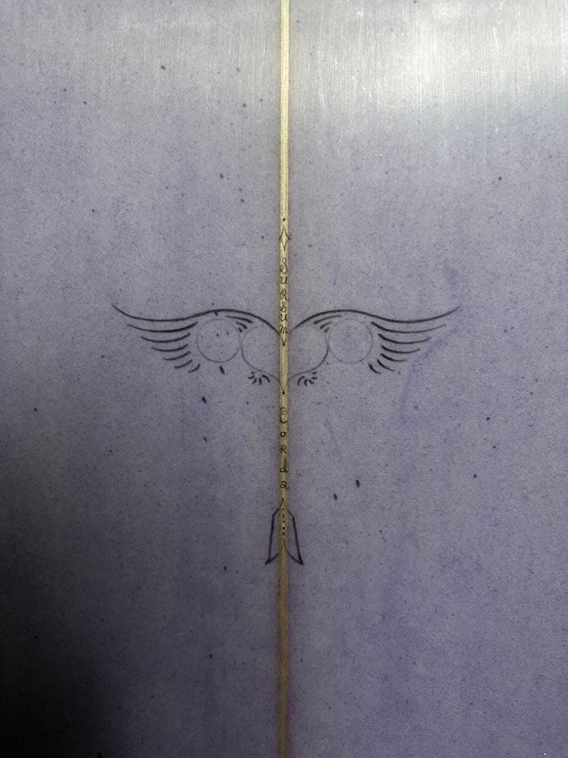 Rich Pavel FISH Rastovich 5’8 手渡し希望