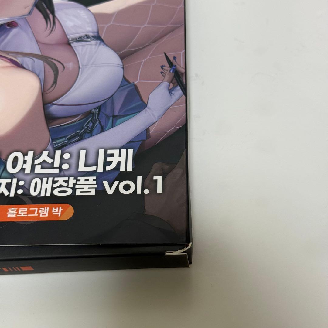 ニケ　イラスト　ボード　コンプ　5枚　箱有　宝物　韓国　バイパー　エクシア