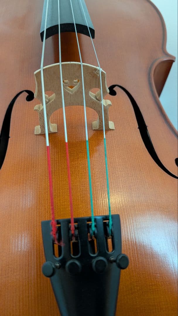 チェロ【GLIGA】 ギグケース付き 直接お渡し