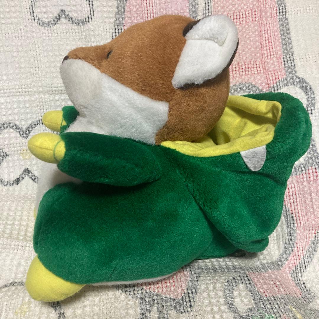 SKB札幌　キタキツネ　着ぐるみ　恐竜　変身ぬいぐるみ　中古品　35cm