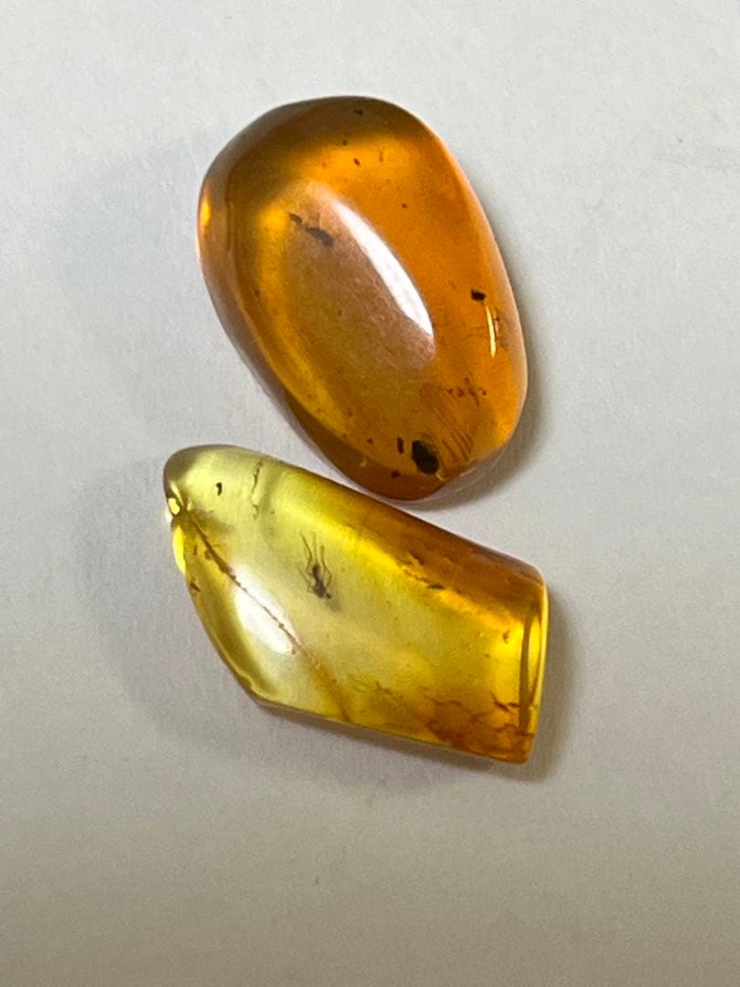 バルト海産　虫入り琥珀　12個セット　全て虫入り　本物保証　良いコンディション