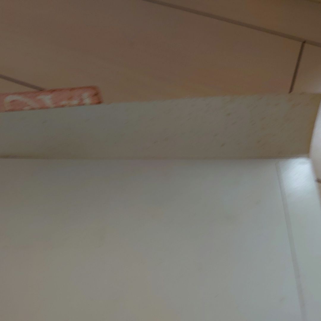 藤井フミヤ　fumiyart 1993年ダイレクトプリント