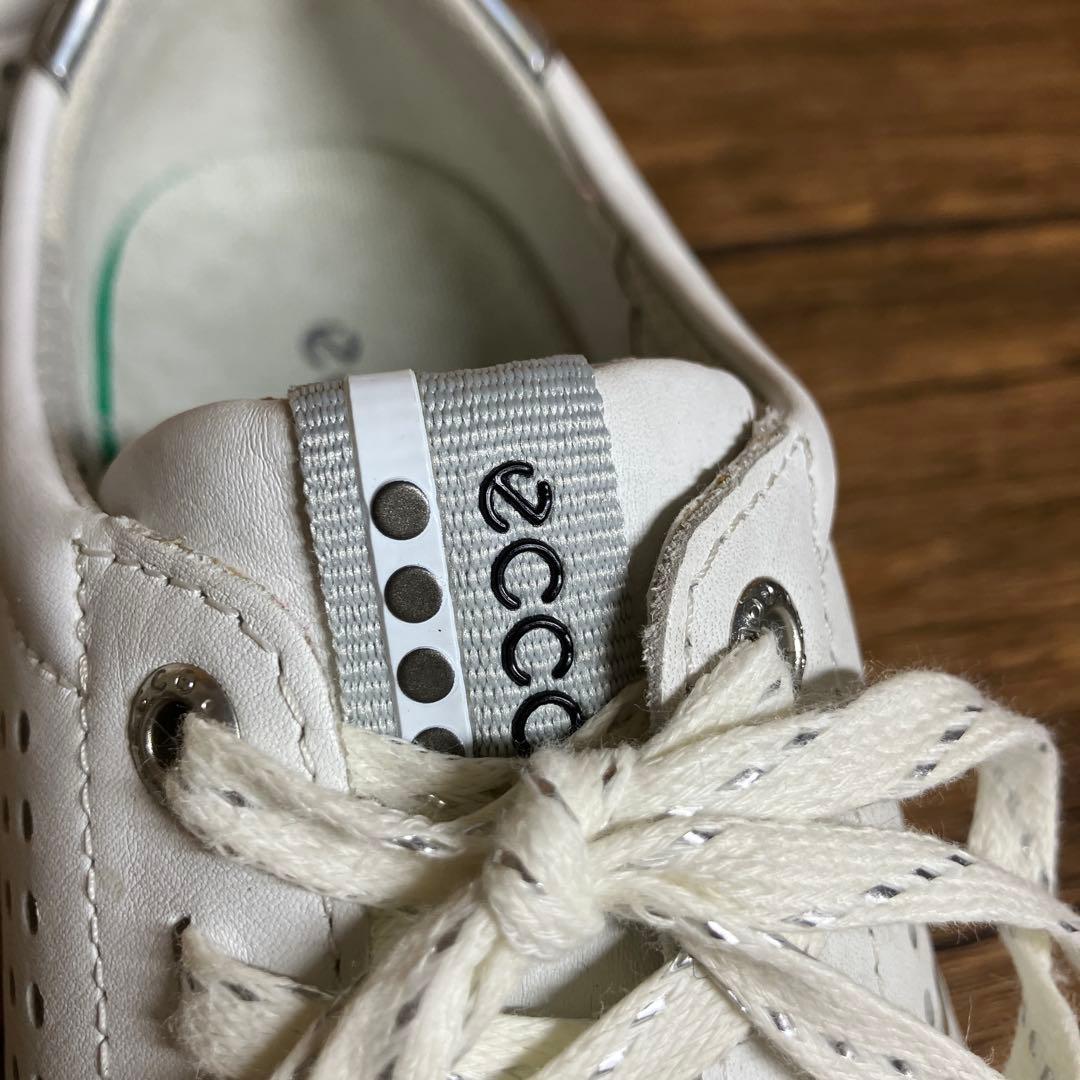 （K25836）ecco エコー ゴルフシューズ EU39（約24㎝）