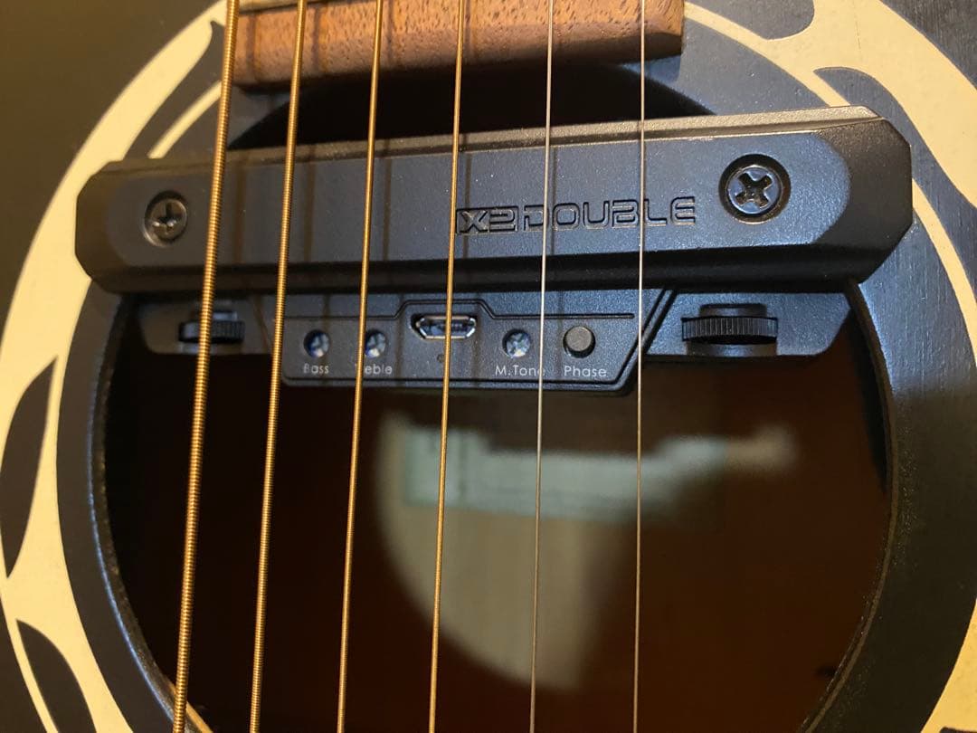 Art & Lutherie Wild Cherry (エレアコ仕様)