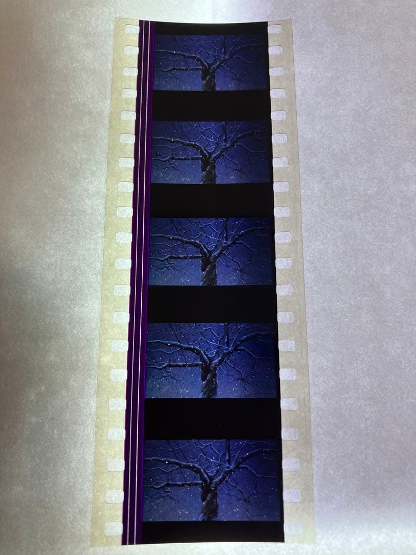 【激レア】新海誠　秒速5センチメートル　特典　フィルム　名場面