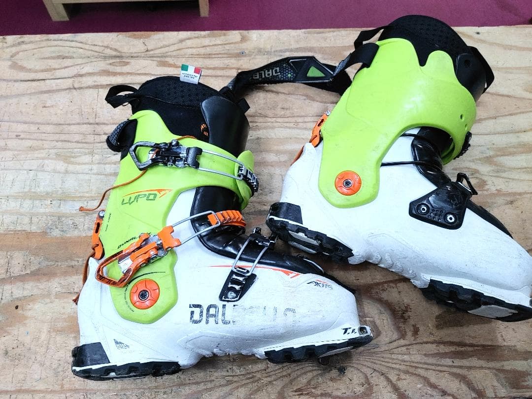 スキー 26-26.5 DALBELLO LUPO 100