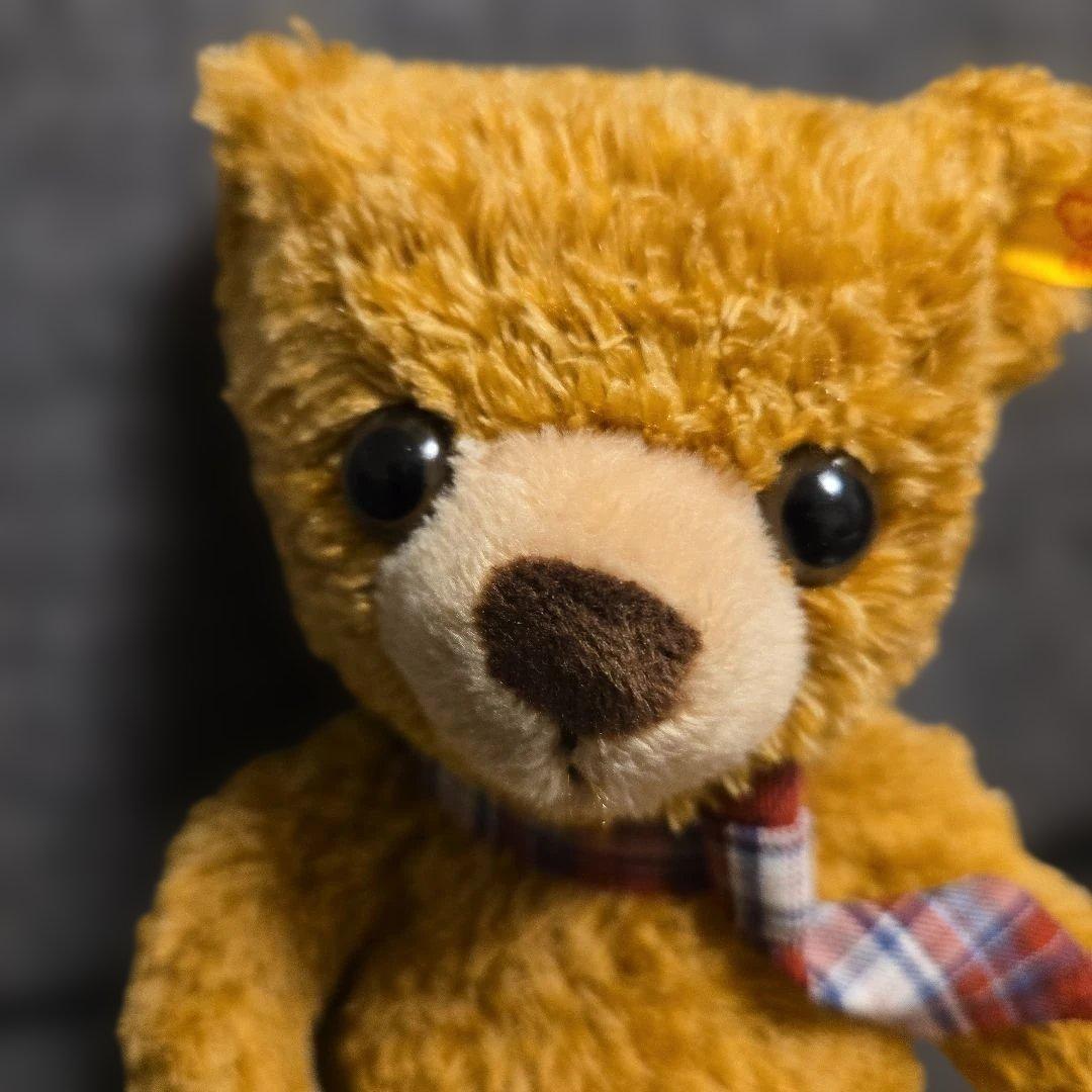 限定品 シュタイフ テディベア クリスマス Boxセット カルロ