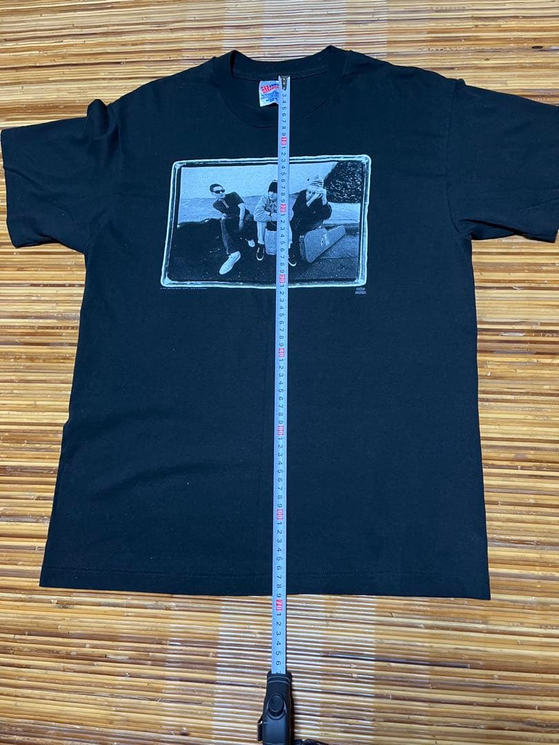 Lサイズcheck your head ヴィンテージTシャツ