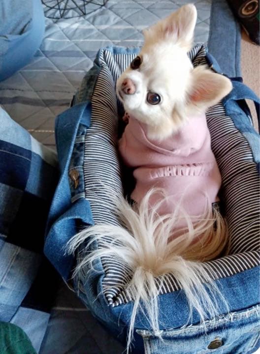 ふわふわ　キャリーバッグ　② デニムリメイク