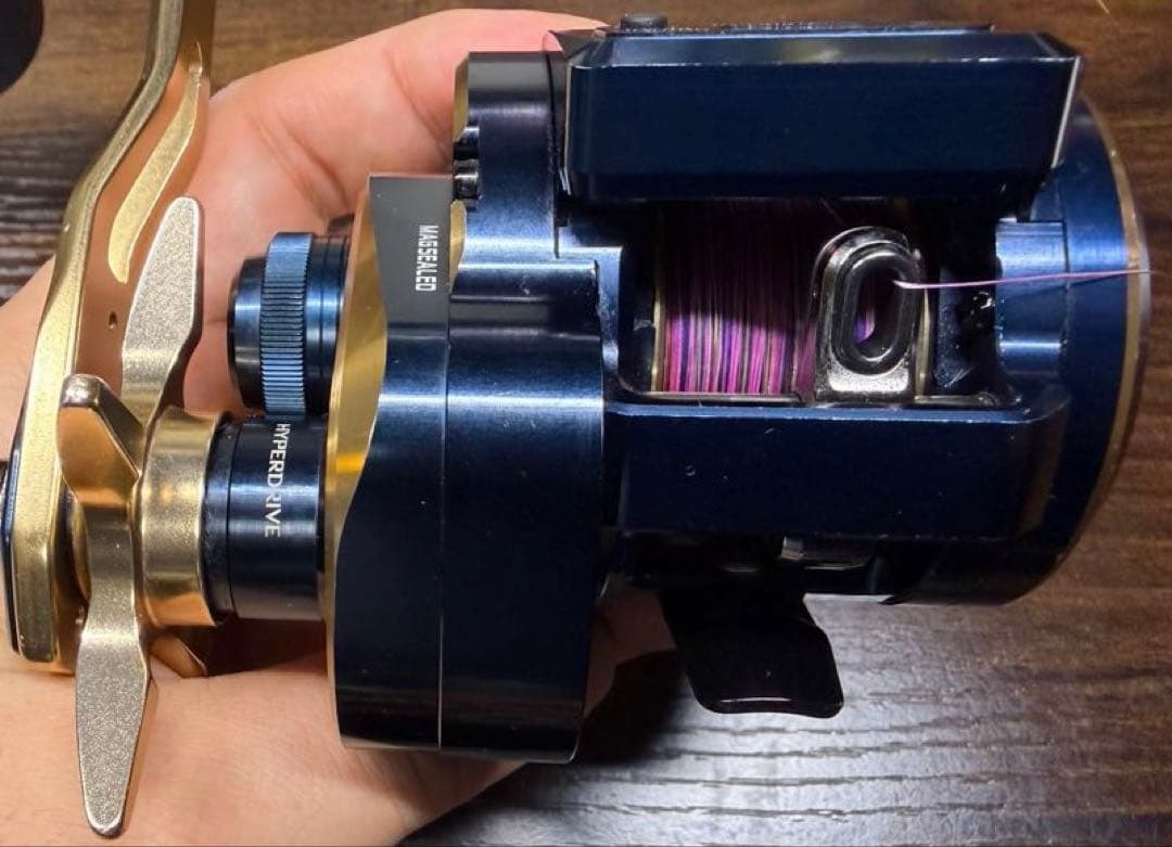 ダイワ ソルティガic 300H-SJ