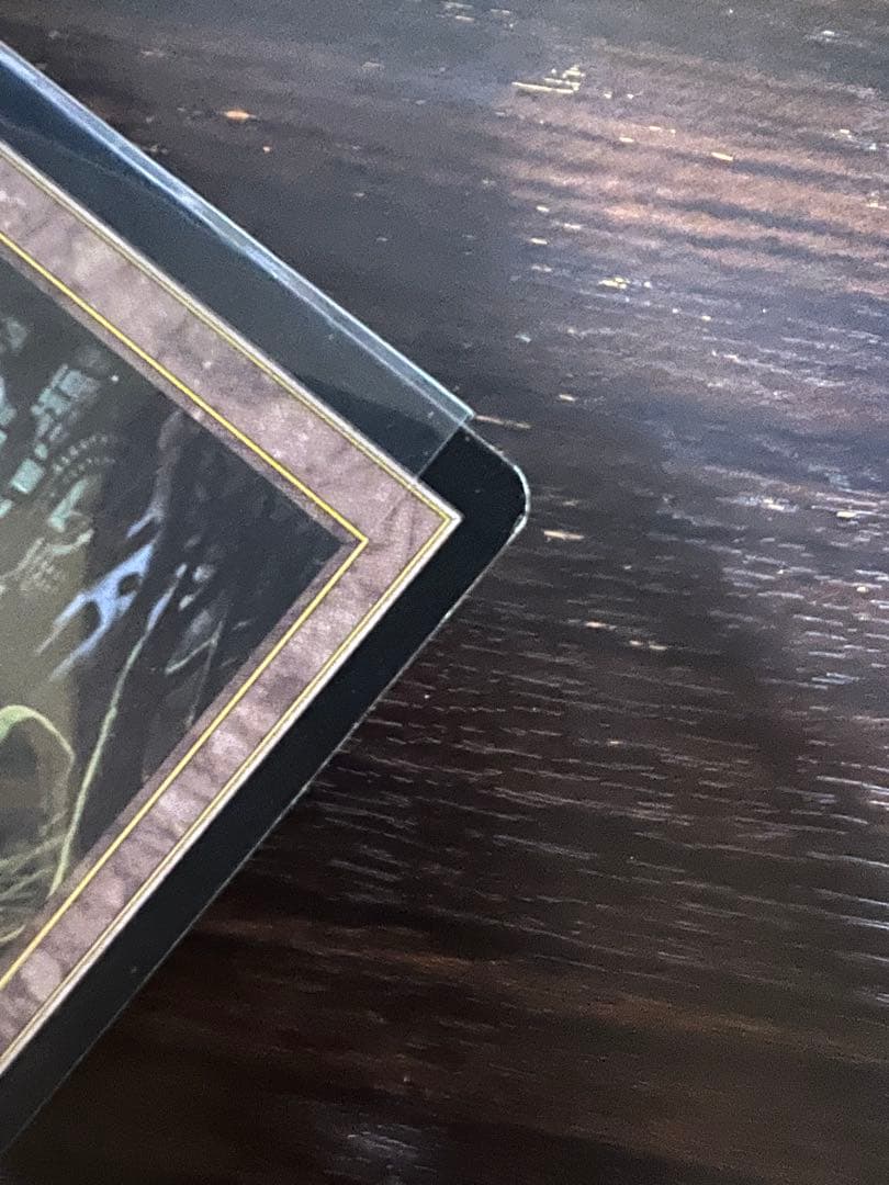 MTG 古えの墳墓　日本語版2枚　テンペスト