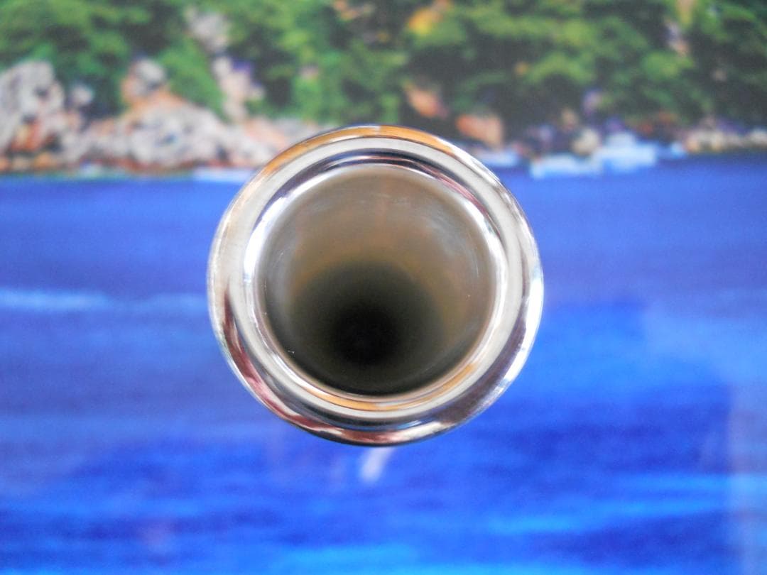 ギュンターへーグナーモデルV3　　ブレゼルマイヤー