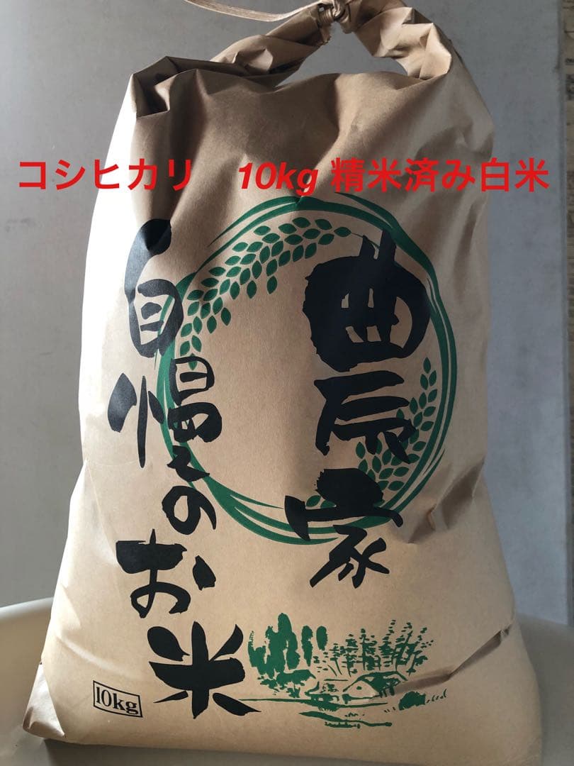 2025年夏収穫コシヒカリ 10kg 精米済み白米　三重県産