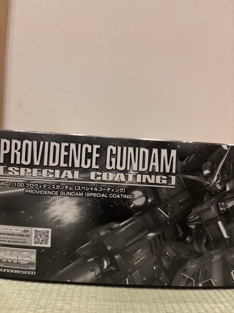 ＭＧ1/100 プロヴィデンスガンダム スペシャルコーティング マスターグレード