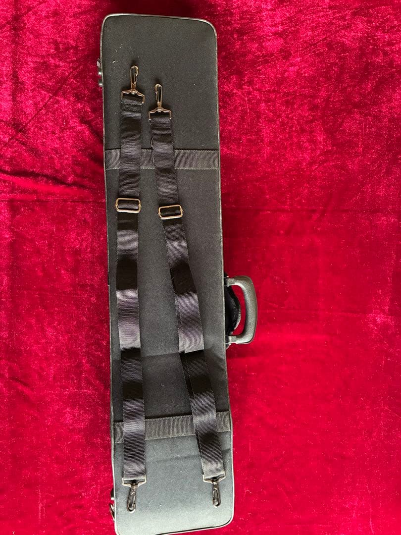 二胡★中古品★錦蛇本皮★完全手入れ★音など確認済み